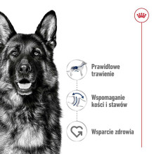 Royal Canin ROYAL CANIN Maxi Adult - sausas šunų ėdalas - 15 kg Royal Canin ROYAL CANIN Maxi Adult - sausas šunų ėdalas - 15 kg