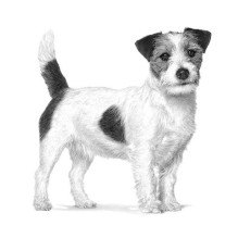 Royal Canin ROYAL CANIN Alergeninis mažų veislių VHN sausas šunų ėdalas - 3kg Royal Canin ROYAL CANIN Alergeninis mažų veislių VHN sausas šunų ėdalas - 3kg