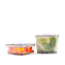 Gastroback 46111 Container set 2 pcs Gastroback 46111 Container set 2 pcs