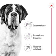 Royal Canin ROYAL CANIN Giant Adult - dry dog food - 15 kg. Royal Canin ROYAL CANIN Giant Adult - dry dog food - 15 kg.