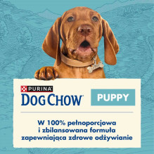 PURINA Purina Dog Chow šuniukų ėrienos pašaras, 14 kg