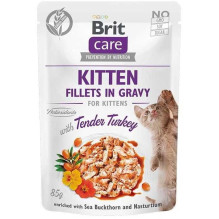 BRIT CARE Fillets in Gravy...