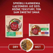 PURINA PURINA One Mini / Small Active Beef - wet dog food - 85g
