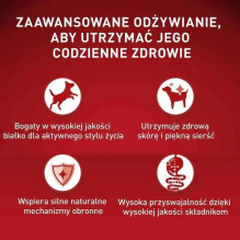 PURINA PURINA One Mini / Small Active Beef - wet dog food - 85g