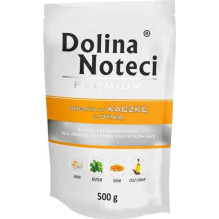 DOLINA NOTECI DOLINA NOTECI...