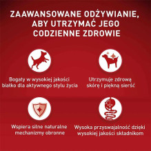 PURINA PURINA One Mini / Small Sensitive Lašiša, ryžiai - sausas šunų ėdalas - 800 g