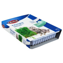 TRIXIE Cat Grass (bowl) 100g