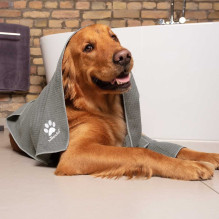 Vileda Vileda PET PRO M mikropluošto rankšluostis gyvūnams Vileda Vileda PET PRO M mikropluošto rankšluostis gyvūnams