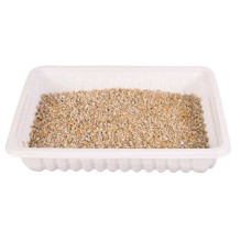 TRIXIE Bio Cat Grass (bowl) 100g TRIXIE Bio Cat Grass (bowl) 100g