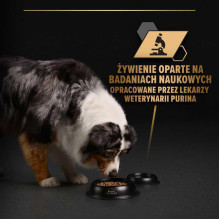 PURINA PURINA Pro Plan Everyday nutrition All size Adult Turkey in j PURINA PURINA Pro Plan Everyday nutrition All size Adult Turkey in j