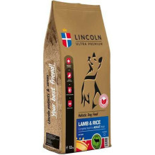 Lincoln LINCOLN Itin...
