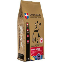Lincoln LINCOLN Itin...