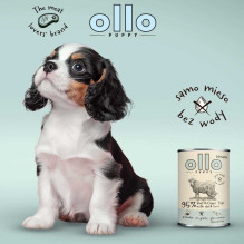 OLLO _7607239 OLLO Puppy Umami Beef and Green Tripe with Duck Liver - wet d