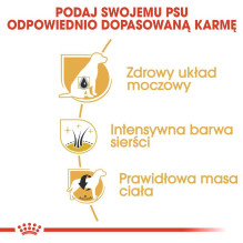 Royal Canin ROYAL CANIN Miniatiūrinis šnauceris suaugusiems - sausas šunų ėdalas - 3 kg. Royal Canin ROYAL CANIN Miniatiūrinis šnauceris suaugusiems - sausas šunų ėdalas - 3 kg.