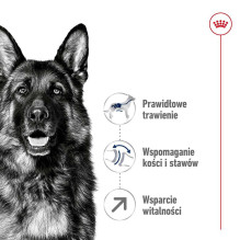 Royal Canin ROYAL CANIN Maxi Adult 5+ - sausas šunų ėdalas - 15 kg.