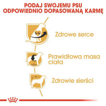 Royal Canin Dog Maistas Royal Canin SHN veislės kavalierius KC 1,5 kg Royal Canin Dog Maistas Royal Canin SHN veislės kavalierius KC 1,5 kg