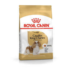 Royal Canin Dog Maistas Royal Canin SHN veislės kavalierius KC 1,5 kg Royal Canin Dog Maistas Royal Canin SHN veislės kavalierius KC 1,5 kg
