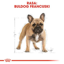 Royal Canin Royal Canin BHN Prancūzų buldogų suaugusių šunų sausas ėdalas - 9kg