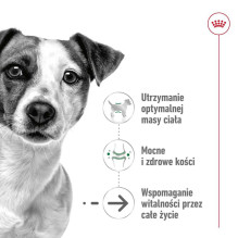Royal Canin ROYAL CANIN Mini Ageing Adult +12 - dry dog food - 3.5 kg Royal Canin ROYAL CANIN Mini Ageing Adult +12 - dry dog food - 3.5 kg