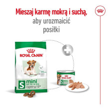 Royal Canin ROYAL CANIN Mini Ageing Adult +12 - dry dog food - 3.5 kg Royal Canin ROYAL CANIN Mini Ageing Adult +12 - dry dog food - 3.5 kg
