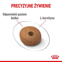 Royal Canin SHN Medium Lengvas Care 3 kg Royal Canin SHN Medium Lengvas Care 3 kg