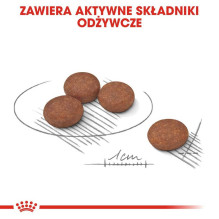 Royal Canin ROYAL CANIN Mini Digestive Care - dry dog food for adult small breeds Royal Canin ROYAL CANIN Mini Digestive Care - dry dog food for adult small breeds