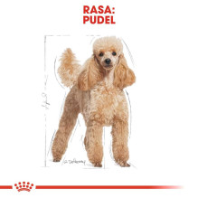 Royal Canin Royal Canin Poodle Adult 1.5 kg