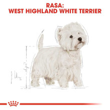 Royal Canin Royal Canin BHN Vakarų Škotijos baltasis terjeras suaugusiam - sausas maistas suaugusiems Royal Canin Royal Canin BHN Vakarų Škotijos baltasis terjeras suaugusiam - sausas maistas suaugusiems