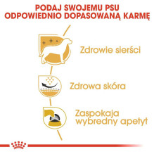 Royal Canin Royal Canin BHN Vakarų Škotijos baltasis terjeras suaugusiam - sausas maistas suaugusiems Royal Canin Royal Canin BHN Vakarų Škotijos baltasis terjeras suaugusiam - sausas maistas suaugusiems