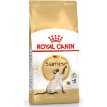 Royal Canin FBN Siamo...