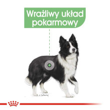Royal Canin ROYAL CANIN CCN Medium Digestive Care - sausas šunų maistas - 3 kg. Royal Canin ROYAL CANIN CCN Medium Digestive Care - sausas šunų maistas - 3 kg.