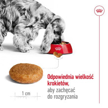 Royal Canin ROYAL CANIN Suaugusiesiems Medium - sausas šunų maistas - 4kg . Royal Canin ROYAL CANIN Suaugusiesiems Medium - sausas šunų maistas - 4kg .