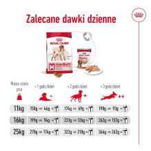 Royal Canin ROYAL CANIN Suaugusiesiems Medium - sausas šunų maistas - 4kg . Royal Canin ROYAL CANIN Suaugusiesiems Medium - sausas šunų maistas - 4kg .