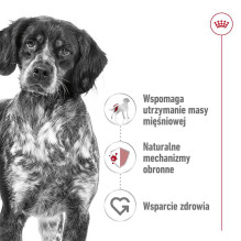 Royal Canin ROYAL CANIN Suaugusiesiems Medium - sausas šunų maistas - 4kg . Royal Canin ROYAL CANIN Suaugusiesiems Medium - sausas šunų maistas - 4kg .