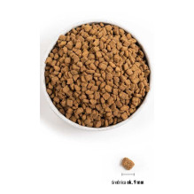 Orijen Orijen Small Breed Dog- Dry dog food- 4,5 kg