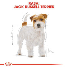 Royal Canin ROYAL CANIN Jack Russell Suaugusiems šunims skirtas sausas ėdalas - 1,5 kg