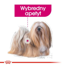 Royal Canin Royal Canin CCN MINI EXIGENT - sausas ėdalas suaugusiems šunims - 3kg Royal Canin Royal Canin CCN MINI EXIGENT - sausas ėdalas suaugusiems šunims - 3kg