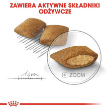 Royal Canin Royal Canin CCN MINI EXIGENT - sausas ėdalas suaugusiems šunims - 3kg Royal Canin Royal Canin CCN MINI EXIGENT - sausas ėdalas suaugusiems šunims - 3kg