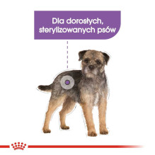 Royal Canin Royal Canin CCN MINI STERILISED - dry food for adult dogs - 8kg Royal Canin Royal Canin CCN MINI STERILISED - dry food for adult dogs - 8kg