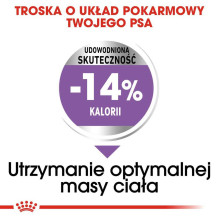 Royal Canin Royal Canin CCN MINI STERILISED - dry food for adult dogs - 8kg Royal Canin Royal Canin CCN MINI STERILISED - dry food for adult dogs - 8kg