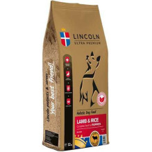Lincoln LINCOLN Itin...