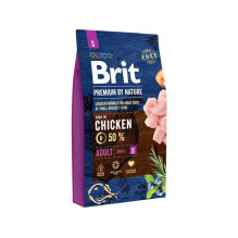 BRIT AMABEZKAR3552
