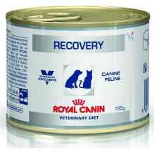 Royal Canin ROYAL CANIN Recovery Wet dog and cat food Mousse Poultry, Pork 195 g