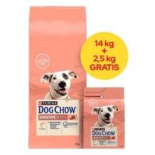PURINA PURINA Dog Chow...