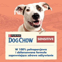 PURINA PURINA Dog Chow Sensitive Salmon - dry dog food - 14 + 2,5kg