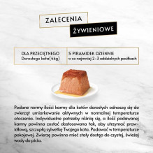 PURINA PURINA „Gourmet Revelations“ vištiena – šlapias kačių ėdalas – 2x57 g PURINA PURINA „Gourmet Revelations“ vištiena – šlapias kačių ėdalas – 2x57 g
