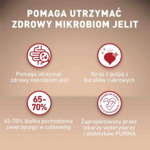 PURINA PURINA One Mini Adult Beef, Rice - Dry Dog Food - 800 g PURINA PURINA One Mini Adult Beef, Rice - Dry Dog Food - 800 g