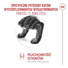 ROYAL_CANIN ROYAL CANIN FHN Cat Senėjimas, sterilizuotas 11+ 4kg ROYAL_CANIN ROYAL CANIN FHN Cat Senėjimas, sterilizuotas 11+ 4kg