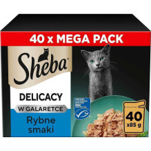 Sheba Sheba Šlapias kačių...