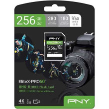 PNY P-SD256V60280EXP6-GE